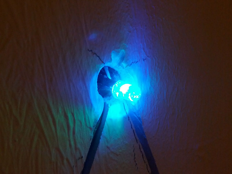 Datei:Nyancat led.jpg