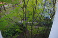 Easterhegg