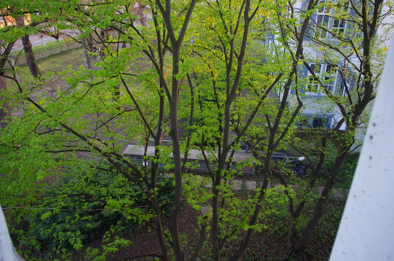 Datei:Easterhegg 2012 2.jpg