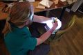 Test unter realen Bedingungen