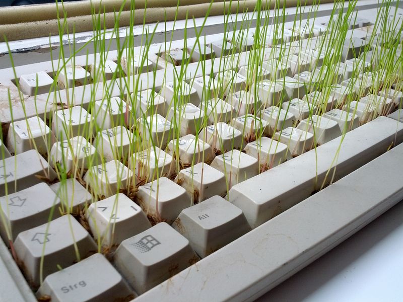 Datei:Tastatur rasen.jpg
